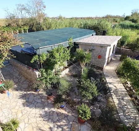 Helena Zadar ヴーシ