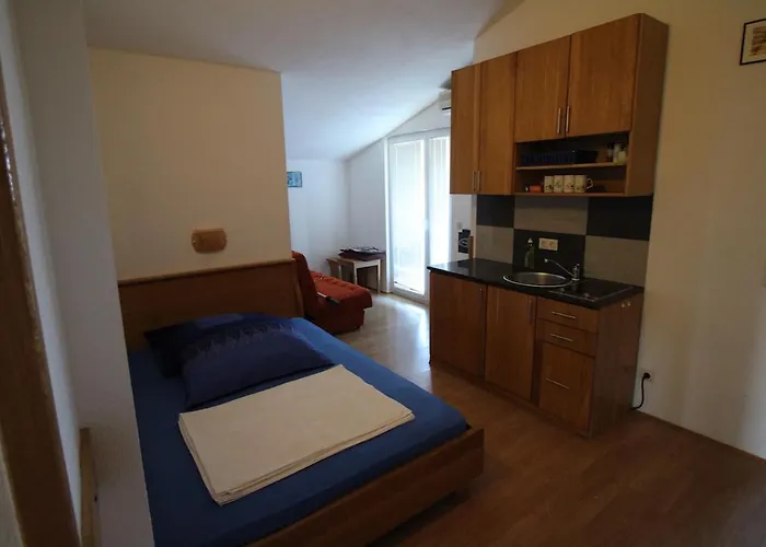 Helena Zadar Vrsi