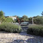 Helena Zadar