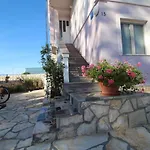 Helena Zadar *